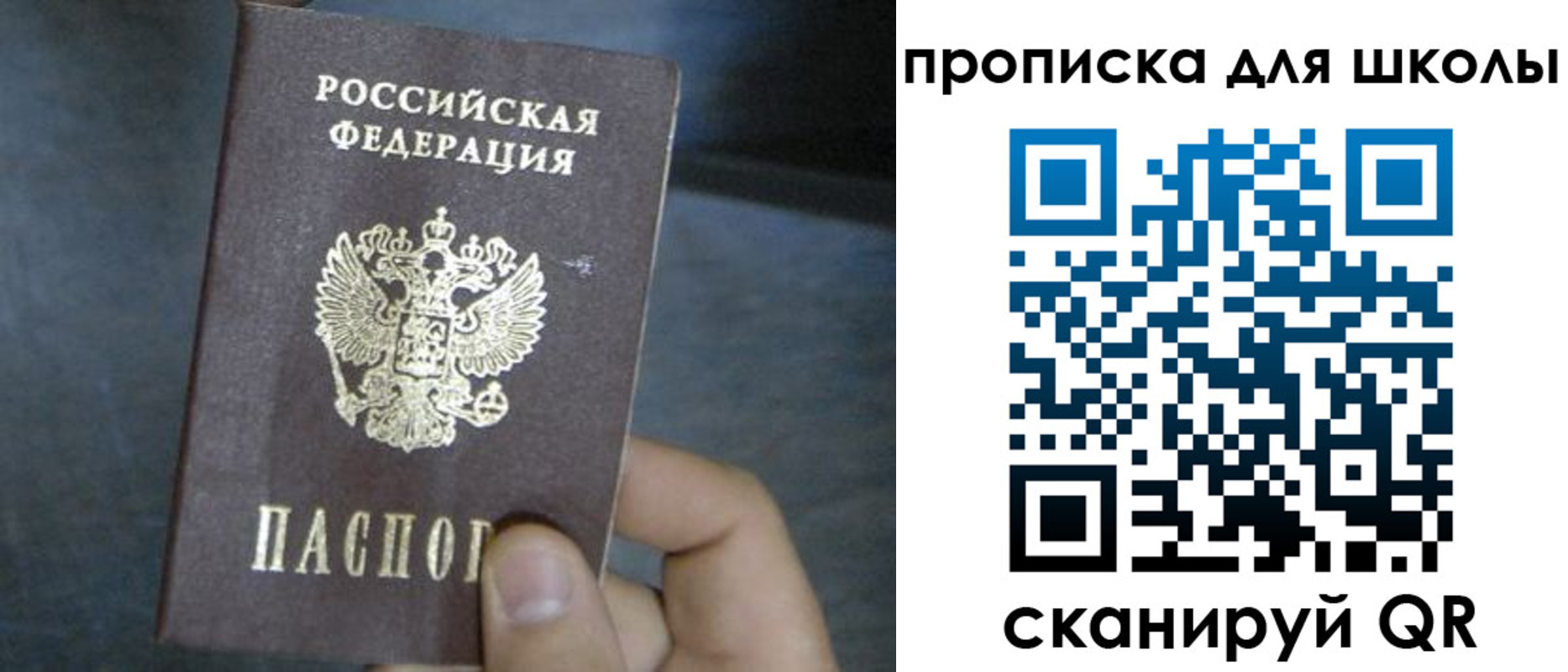 прописка поиск в Дубне